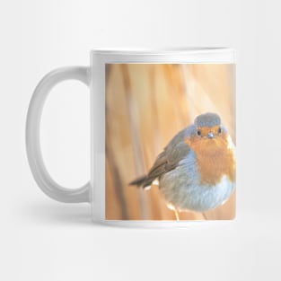 Robin in golden light Mug